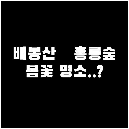 3월 서울 나들이 동대문구 배봉산과 ..