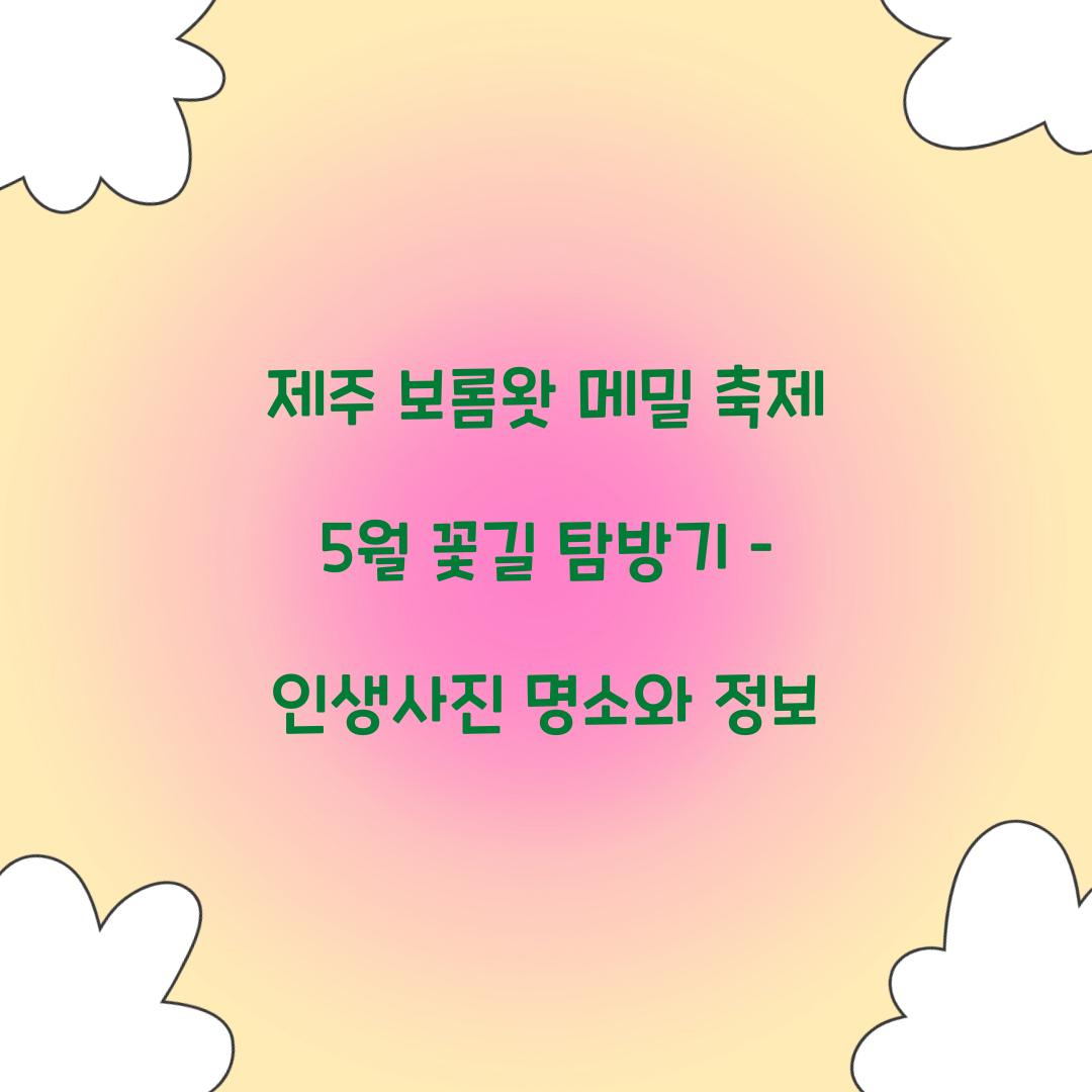 제주 보롬왓 메밀 축제