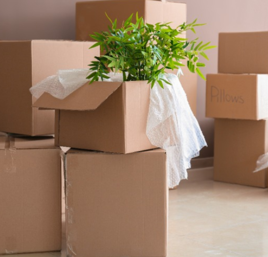 청년 이사비 지원 신청 방법