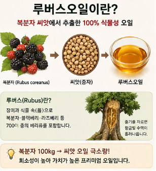 루버스오일-효능-가격-파는곳-부작용-먹는법-후기