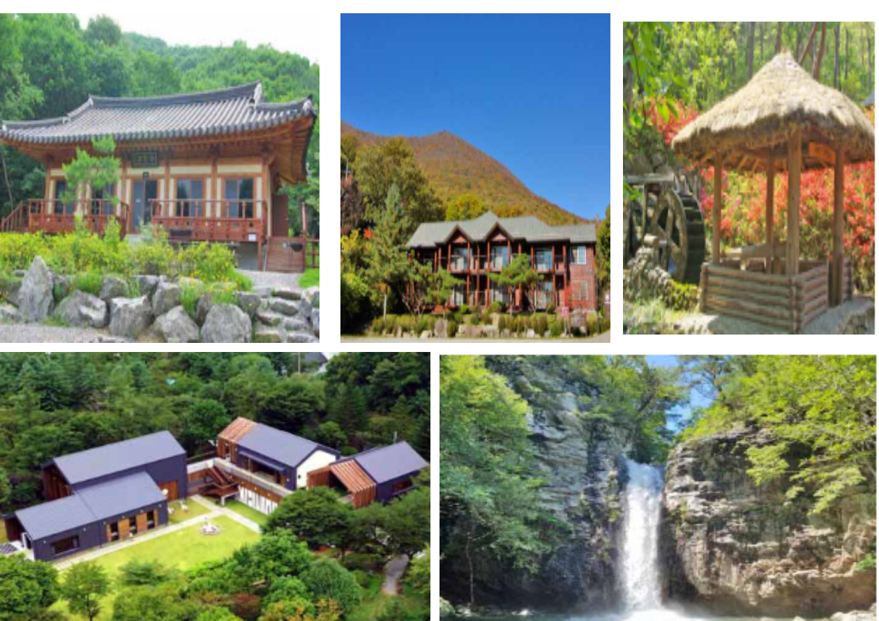 자연 경취가 좋은 국립자연휴양림 사진들 5장