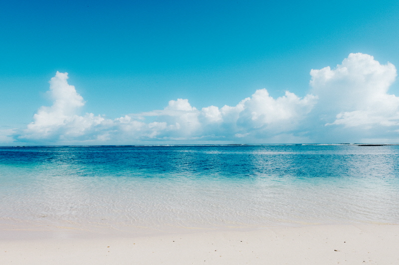 Secret Garden Concept