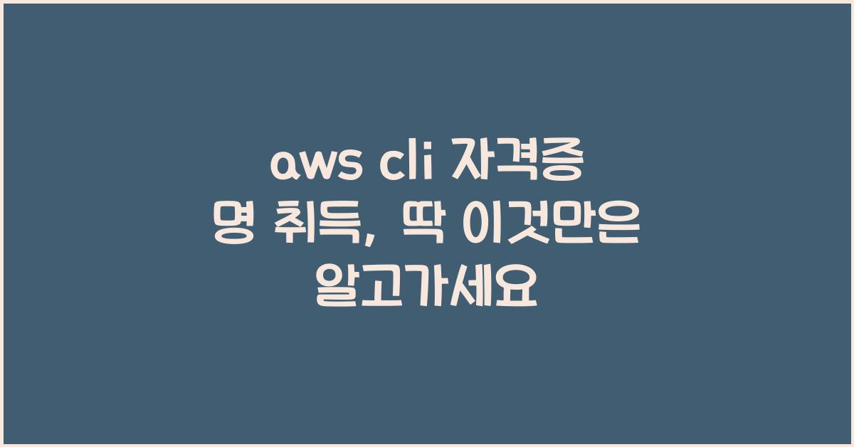 aws cli 자격증 명