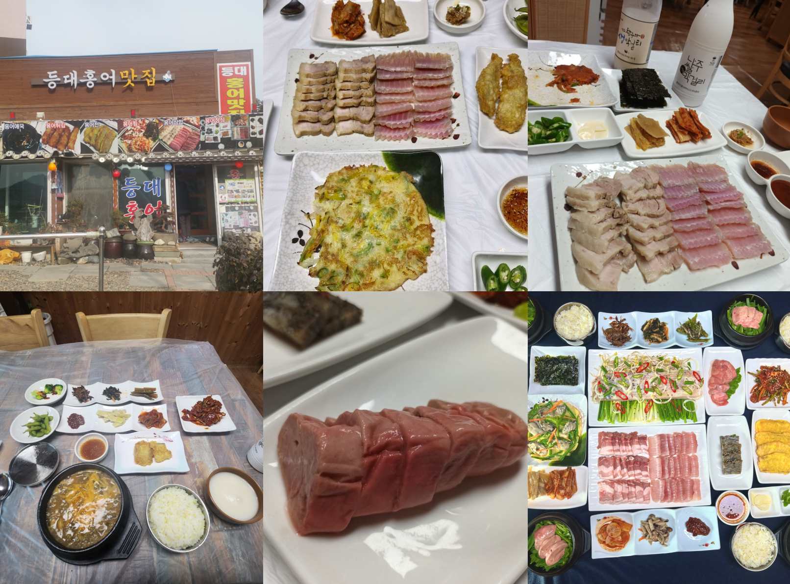 영산포 등대홍어