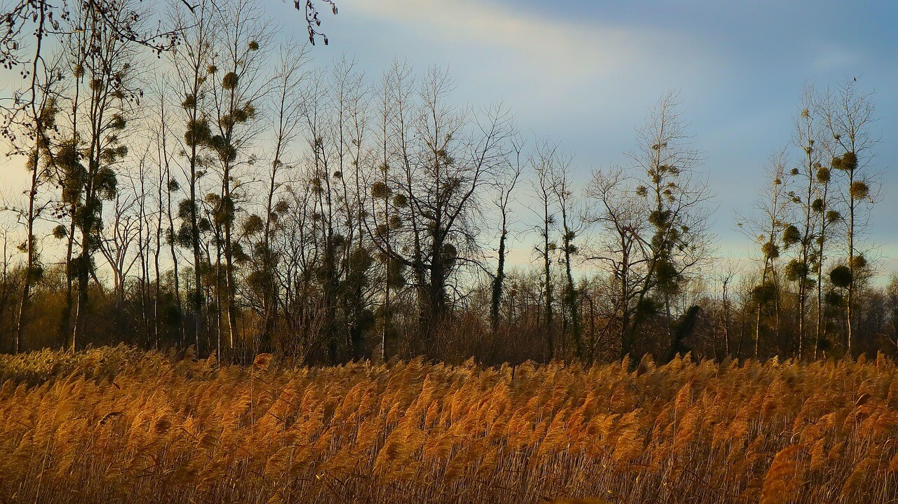 시골살이 현실 23편 : 겨울 생존을 논의하다