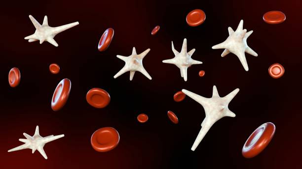 전립선 psa 수치 년령별 수치