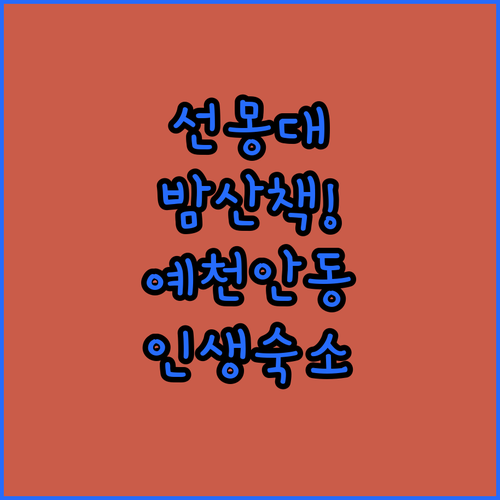 선몽대 밤 산책 후 머물기 좋은 예천..