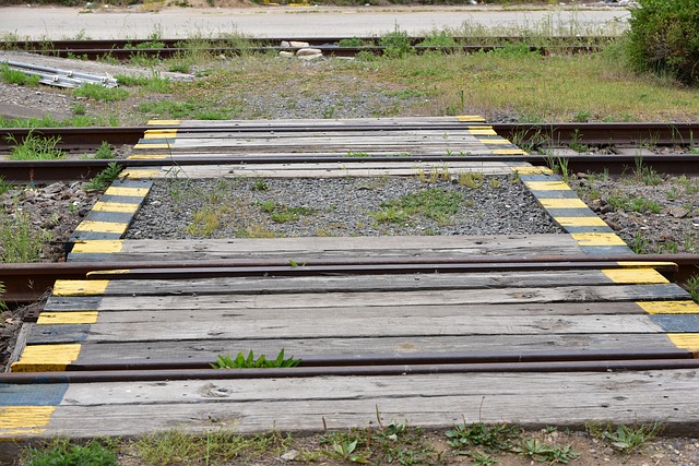 “청량리역_부전역_무궁화호_누리로_열차_시간표_4”