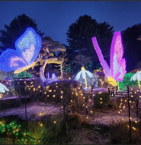 가평 오색별빛정원전