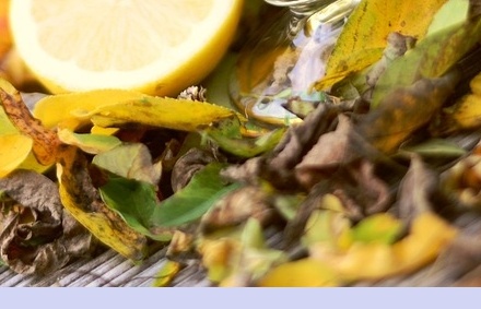 대상포진 치료방법