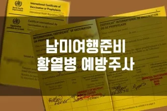 남미 황열병 예방접종 후기 경험과 준비사항_6