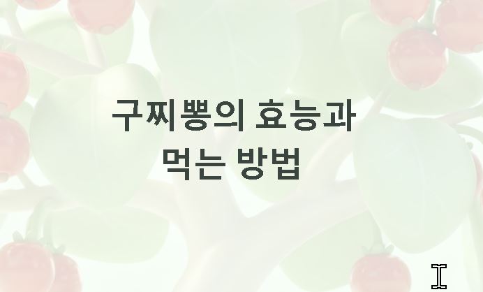구찌뽕의 효능과먹는방법