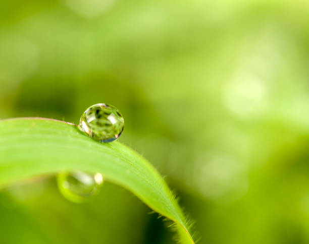 그저 바라보는 것만으로도 괜찮아지는 삶