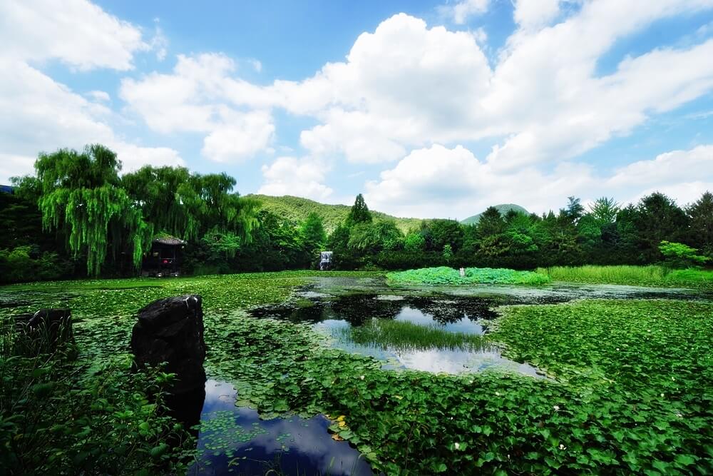 2023 파주 벽초지수목원 백만송이 봄꽃축제