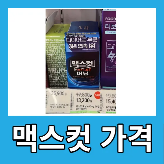 맥스컷 버닝의 가격