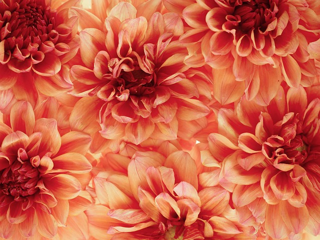 신한저축은행 참신한대출 1