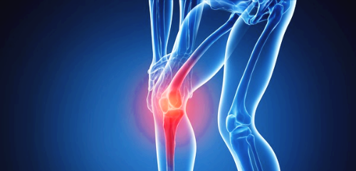 콘드로이친 효능 부작용