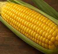옥수수 효능