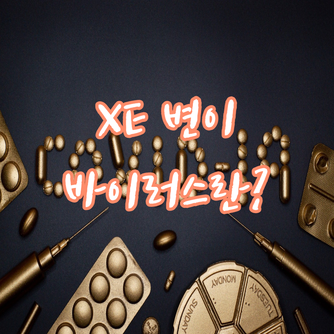 XE 변이 바이러스
