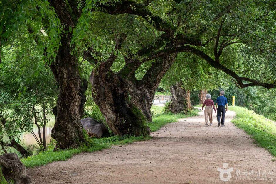 경산 가볼만한곳 베스트 10