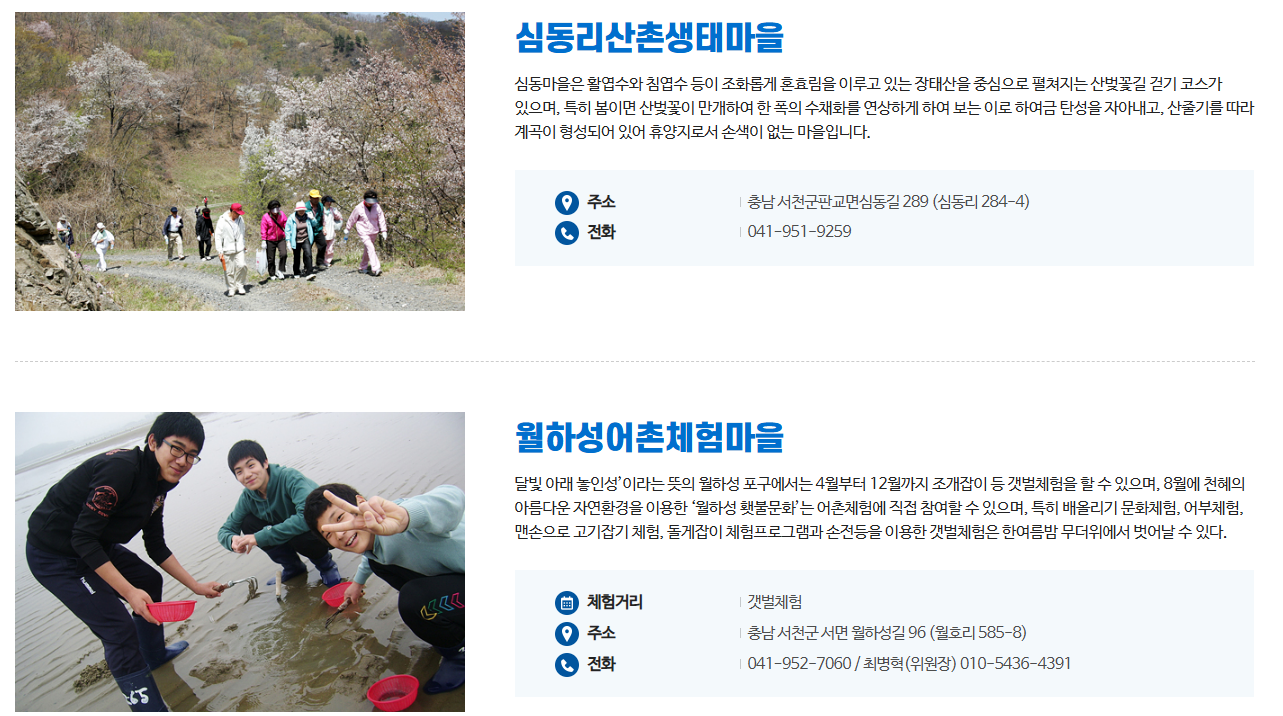 어촌마을체험