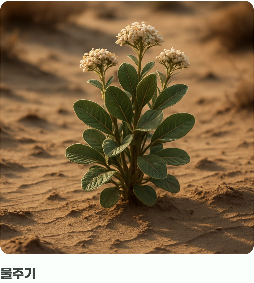 과한 사랑은 금물&amp;#44; 물과 거름주기