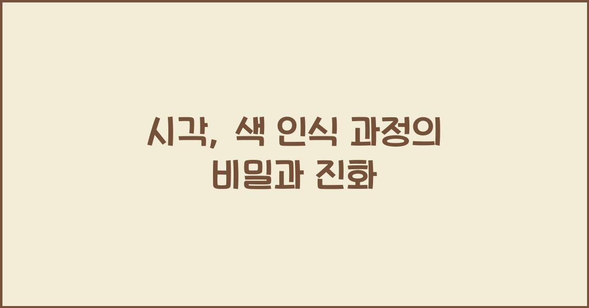 시각, 색 인식 과정
