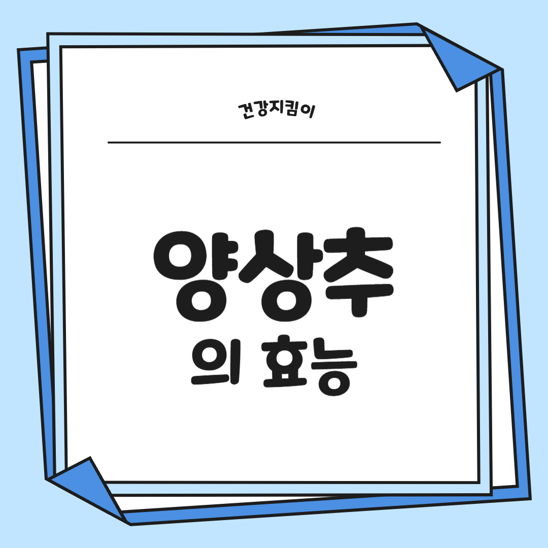 양상추 효능 부작용 고르는법 칼로리