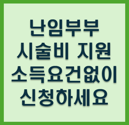 난임부부 시술