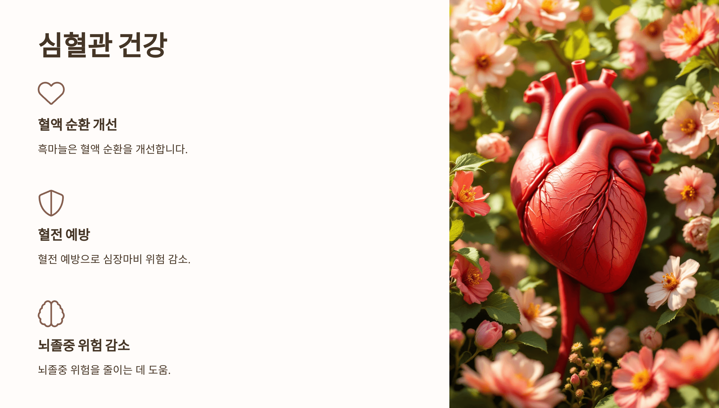 흑마늘과 관련된 사진입니다.