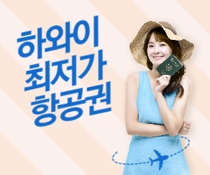 하와이 항공권 이미지