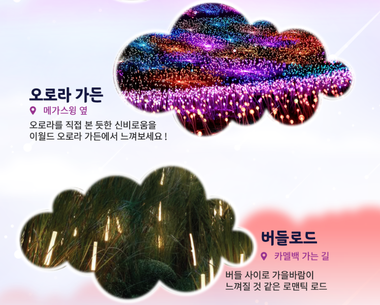 이월드 일루미네이션
