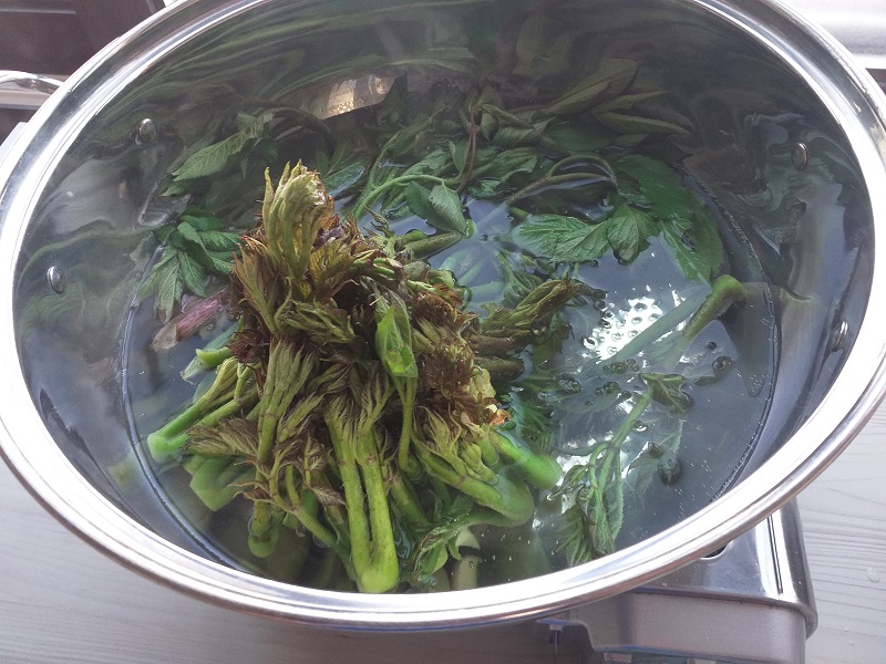 두릅데치기&amp;두릅전