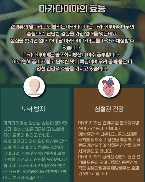 마카다미아의 효능 설명 이미지