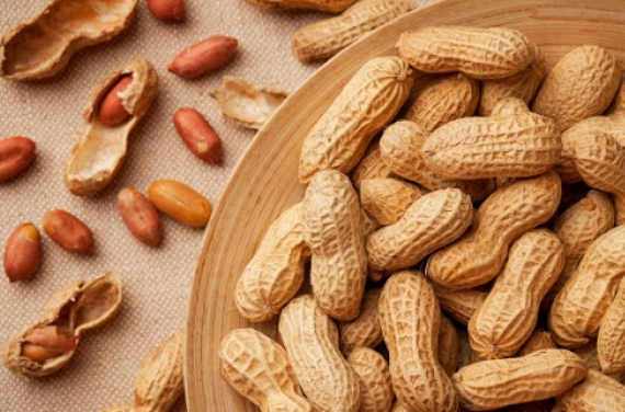 땅콩 효능