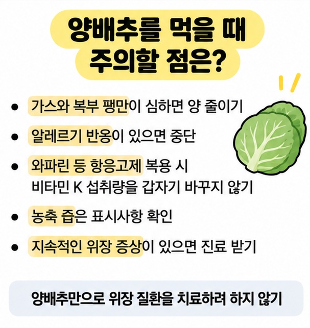 양배추 섭취 시 복부 팽만과 항응고제 복용 주의사항을 정리한 이미지