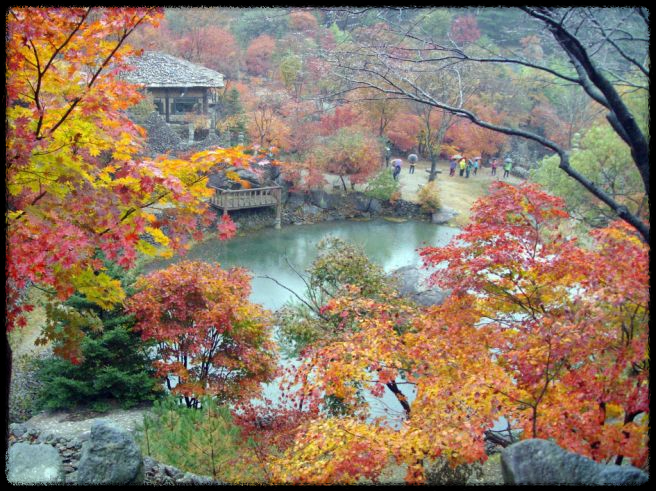 2024 가을&amp;#44; 국내 단풍 명소 추천: 절정 시기와 여행 팁까지 완벽 가이드