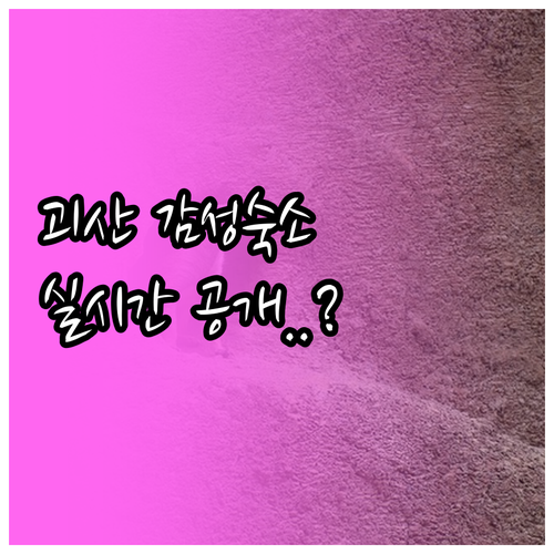 직접 가보고 싶은 괴산 감성 숙소 리..