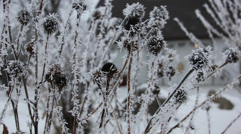 효율적인 공부 방법