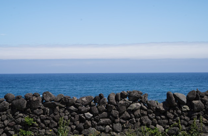혼자 떠나는 여행지 추천 & 솔로 여행 꿀팁 – 혼행(혼자 여행) 트렌드와 유용한 정보