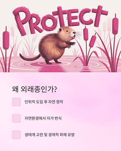 왜 외래종으로 분류되는가?