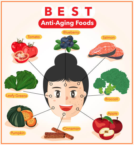 저속노화를 위한 영양제 추천과 건강한 식단까지 완벽정리!