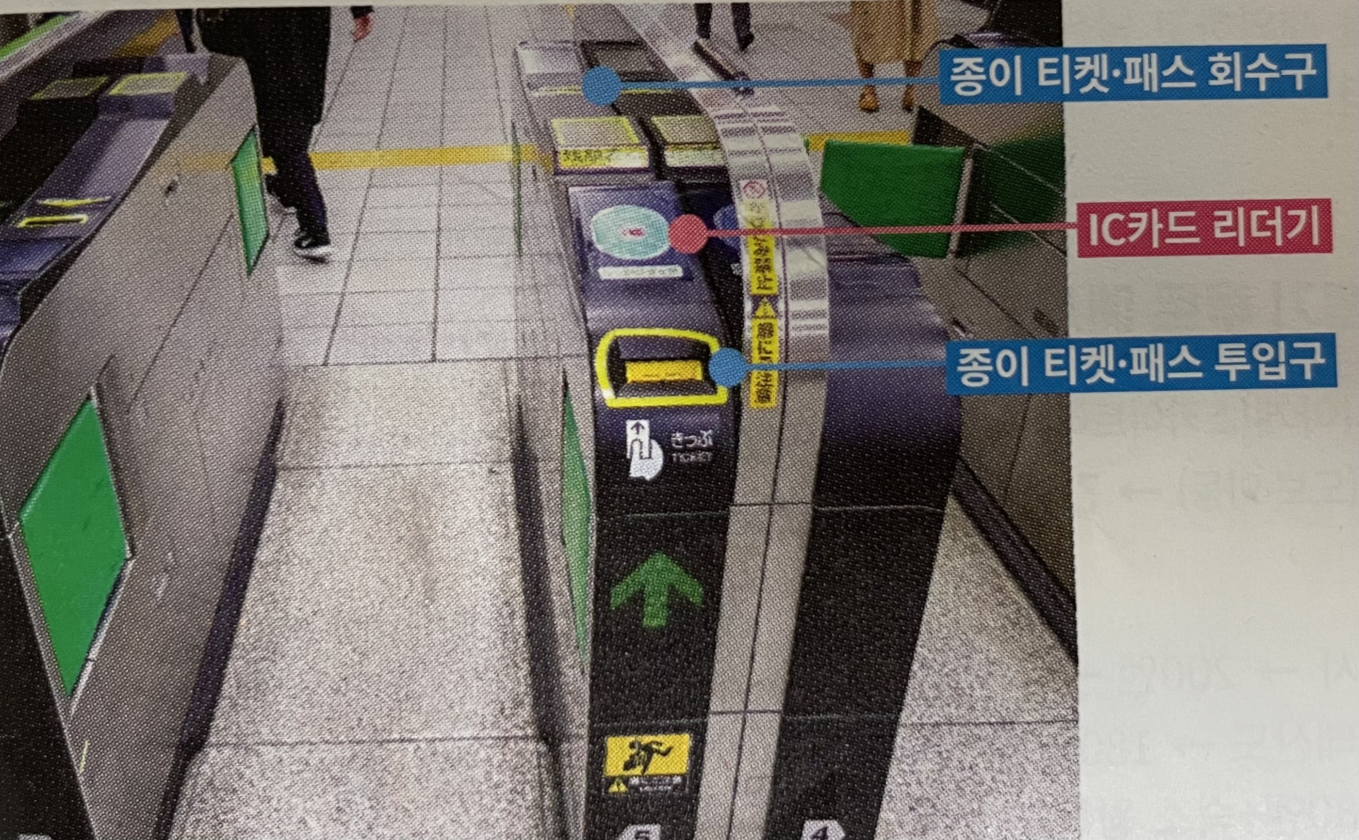 도쿄 교통 패스 탑승