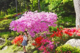 경기도 봄 여행지 추천 10곳 완벽 코스 가이드북_19