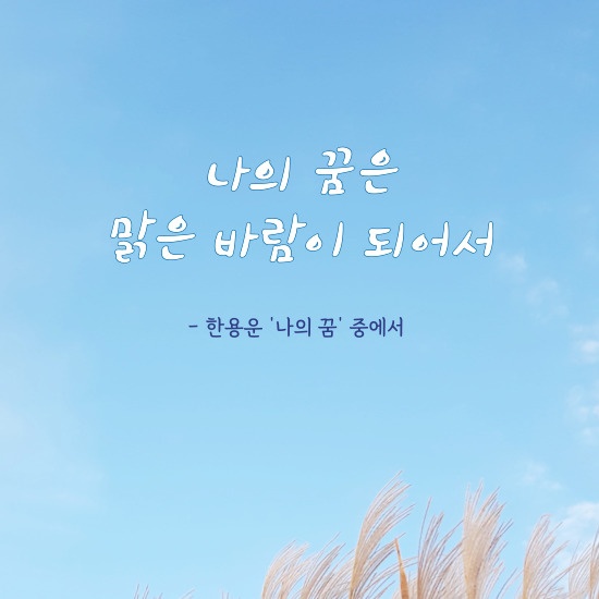 <나의 꿈> 시 구절 들어간 이미지