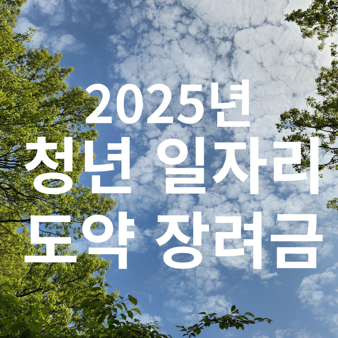 청년일자리도약장려금