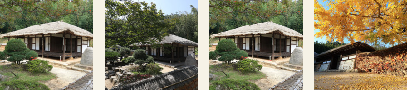 강진 반값 여행 코스 추천