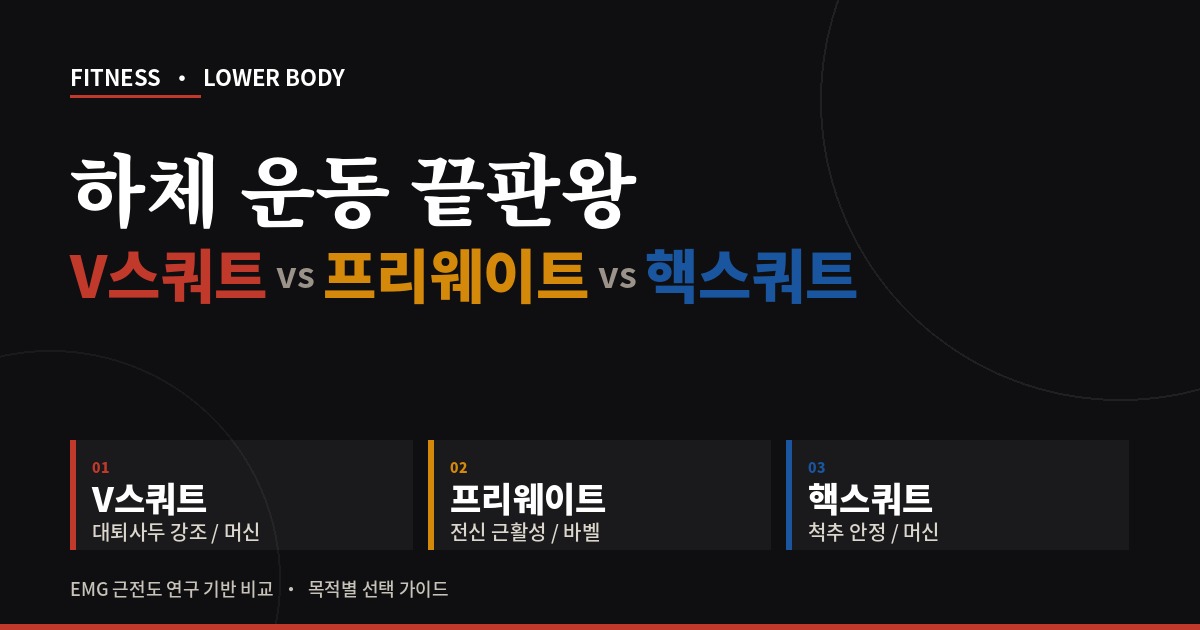 V스쿼트 프리웨이트 스쿼트 핵스쿼트 차이 비교 인포그래픽 썸네일