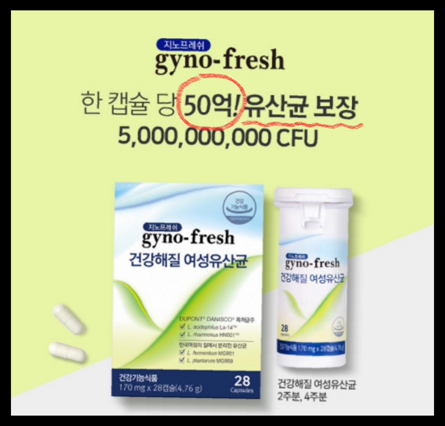 지노프레쉬 효능 부작용