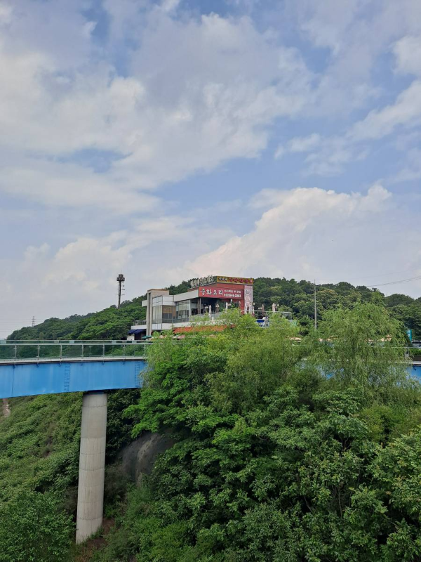 저 멀리 보이는 전망대 건물